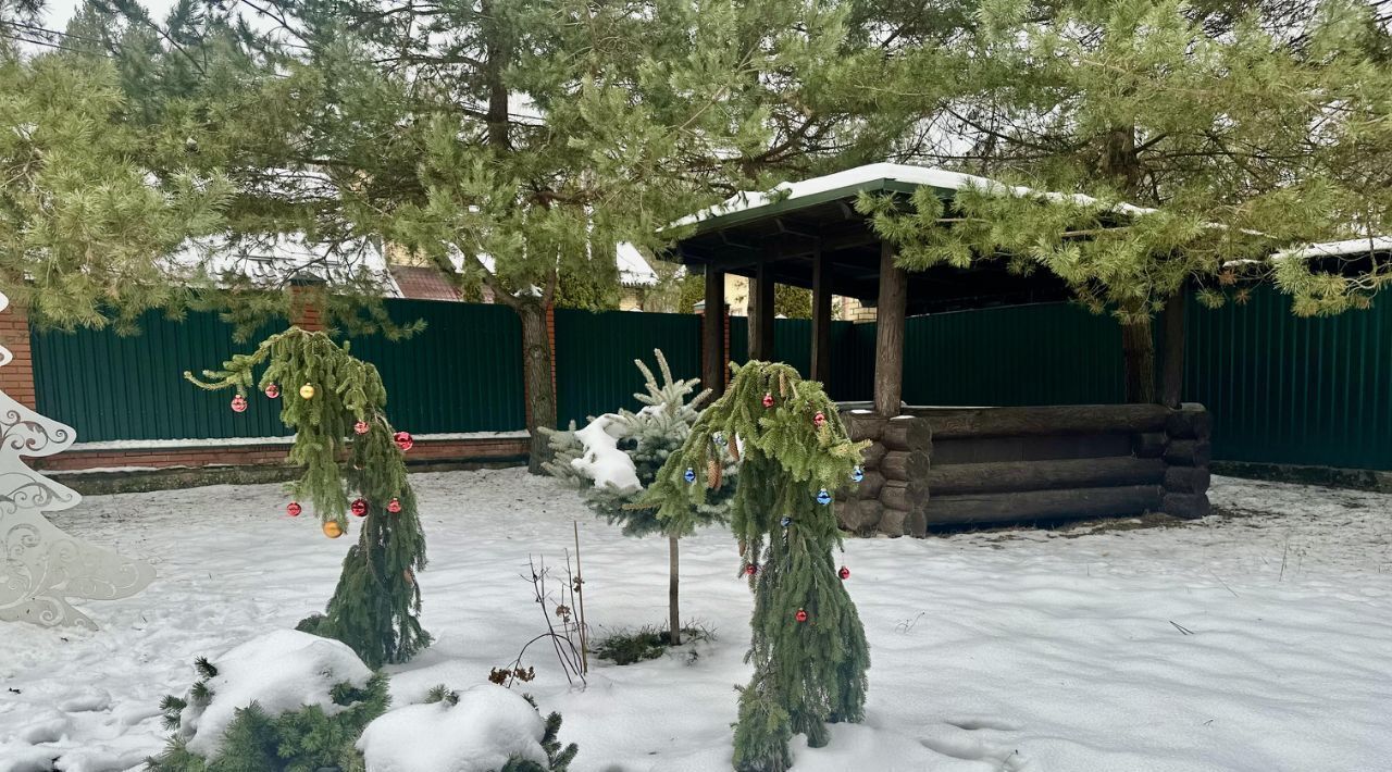 дом городской округ Раменский д Осеченки Удельная фото 35