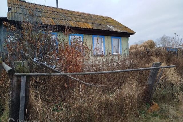 д Вандышевка ул Центральная фото