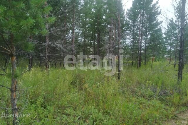 р-н Октябрьский Улан-Удэ городской округ, Забайкальский фото