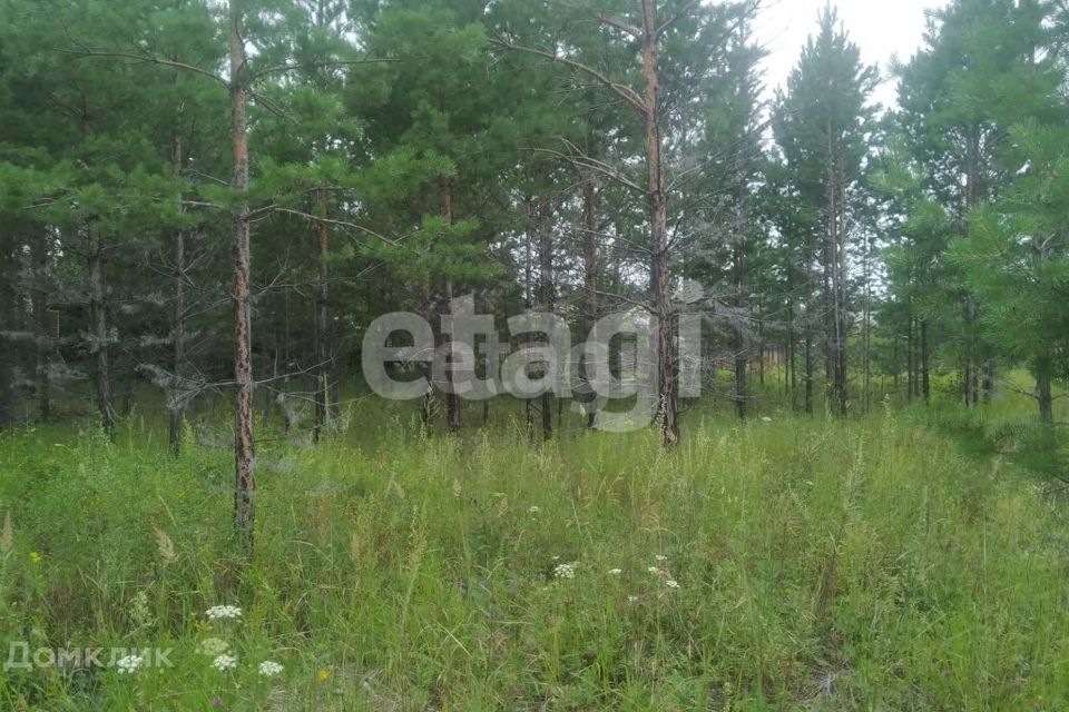 земля г Улан-Удэ р-н Октябрьский Улан-Удэ городской округ, Забайкальский фото 2