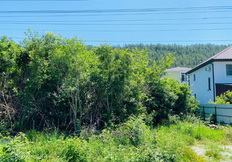 земля г Геленджик Геленджик городской округ, СТ Виноградарь-5 фото 5