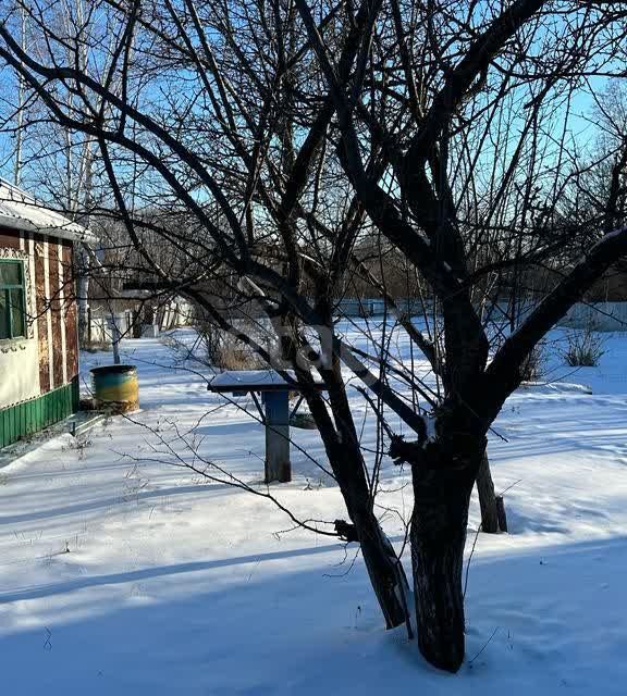 земля г Благовещенск СНТ Дружба, Благовещенск городской округ фото 7