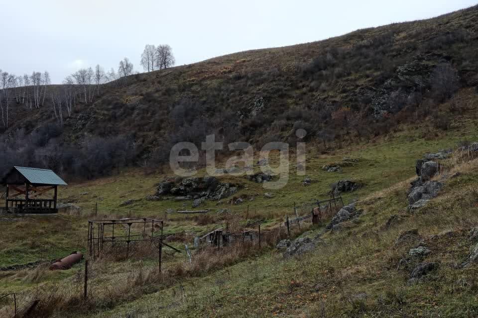 земля р-н Алтайский с. Ая фото 6