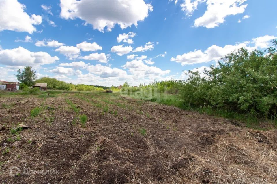 земля г Тюмень Тюмень городской округ, СТ Меркурий фото 5