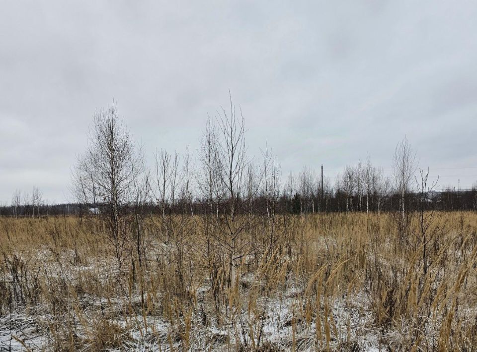 офис городской округ Луховицы п Совхоза Астапово фото 1