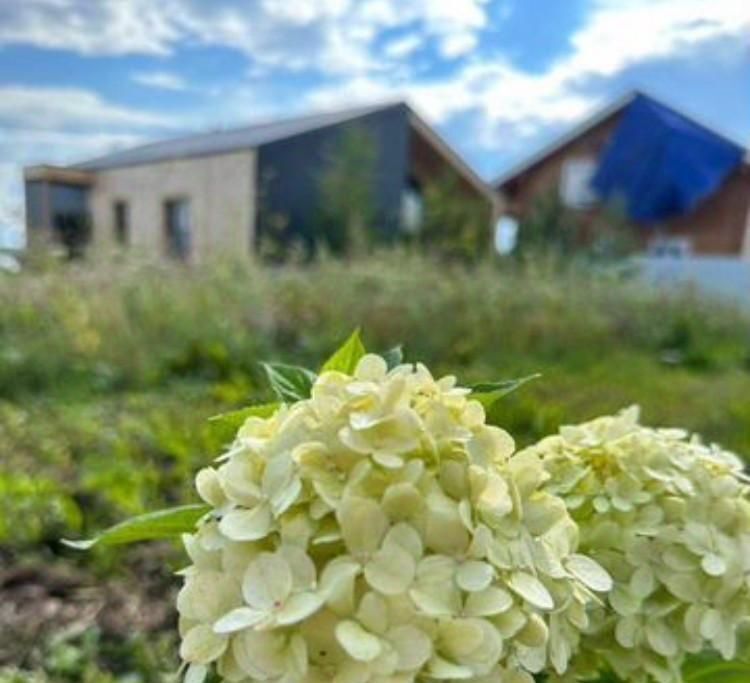 дом р-н Белоярский Александрия кп, ул. Восьмая, 26, Белоярский городской округ фото 26