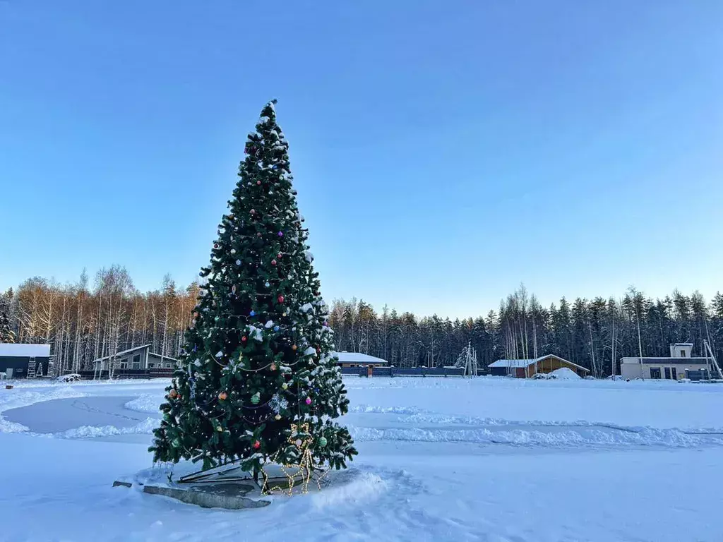 дом р-н Всеволожский г Всеволожск КП Мечта, Камышовый проезд, 1 фото 9