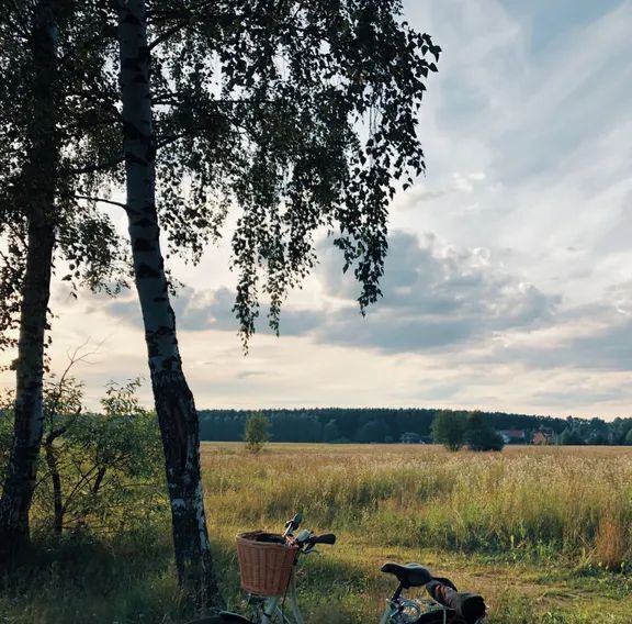 дом г Пушкино Звягино ул. Кирова, 12А фото 21