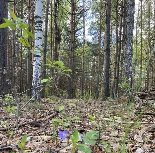 земля г Тюмень р-н Калининский Калининский административный округ фото 2