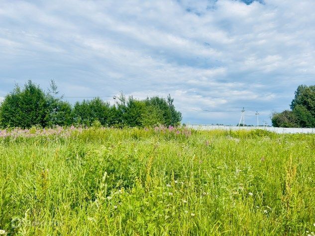 земля городской округ Сергиево-Посадский ДНП Спасс-Торбеево фото 5