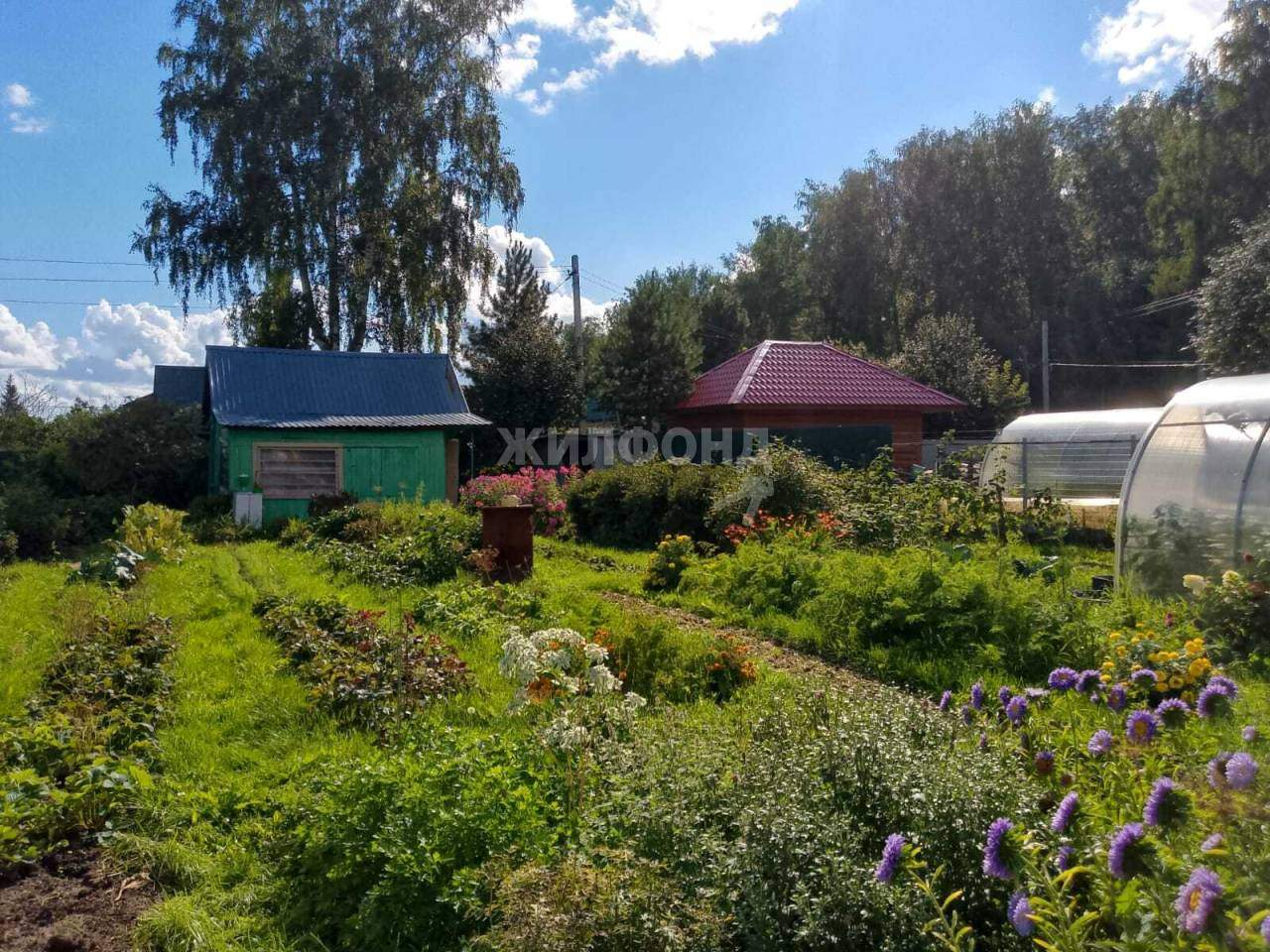 земля г Новосибирск р-н Заельцовский Заельцовская, Любитель территория снт фото 2