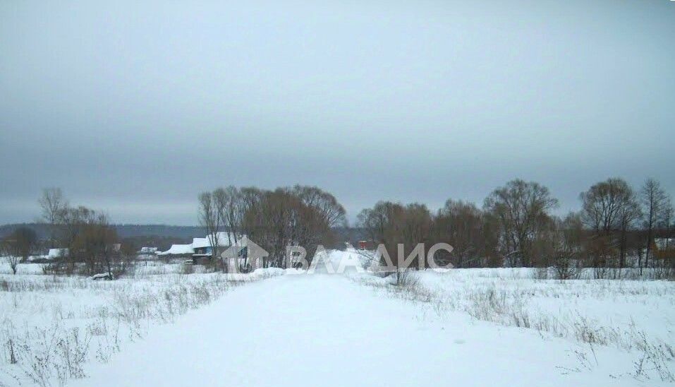 земля р-н Гусь-Хрустальный д Моругино муниципальное образование, Красное Эхо фото 4