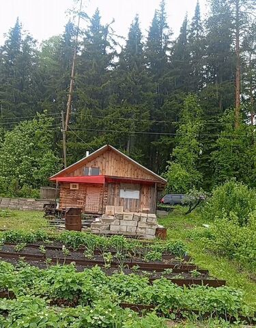 садово-огородническое товарищество Рябинка фото