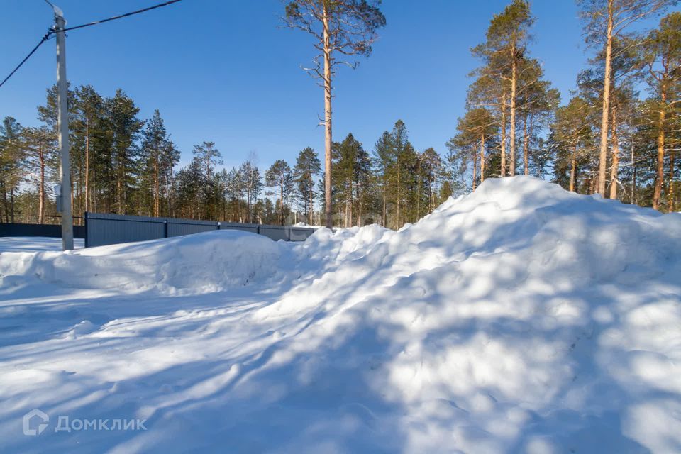 земля г Сургут Сургут городской округ, СНТ Маяк фото 7