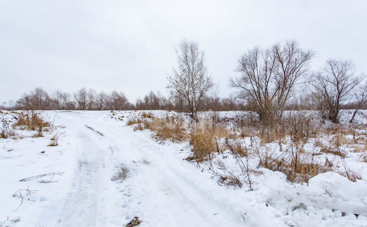 земля г Тобольск ул Ленина Нижний посад фото 4