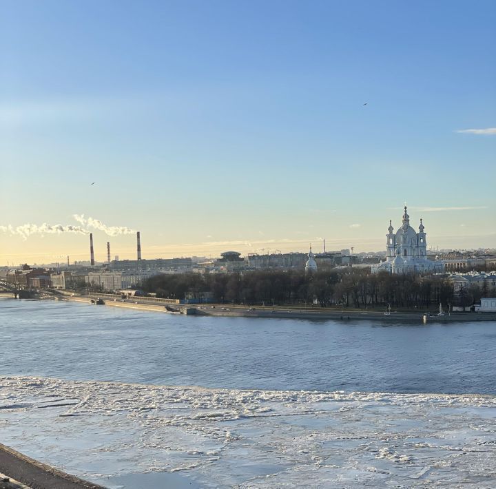 квартира г Санкт-Петербург метро Новочеркасская наб Свердловская 58 округ Большая Охта фото 30