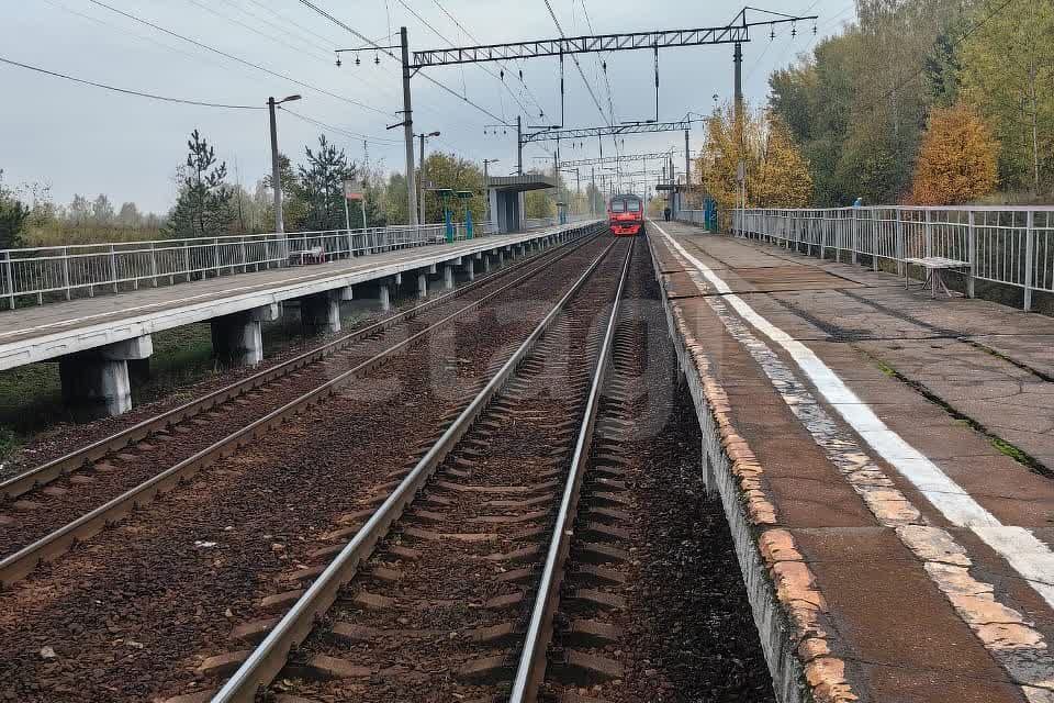 земля городской округ Богородский фото 10