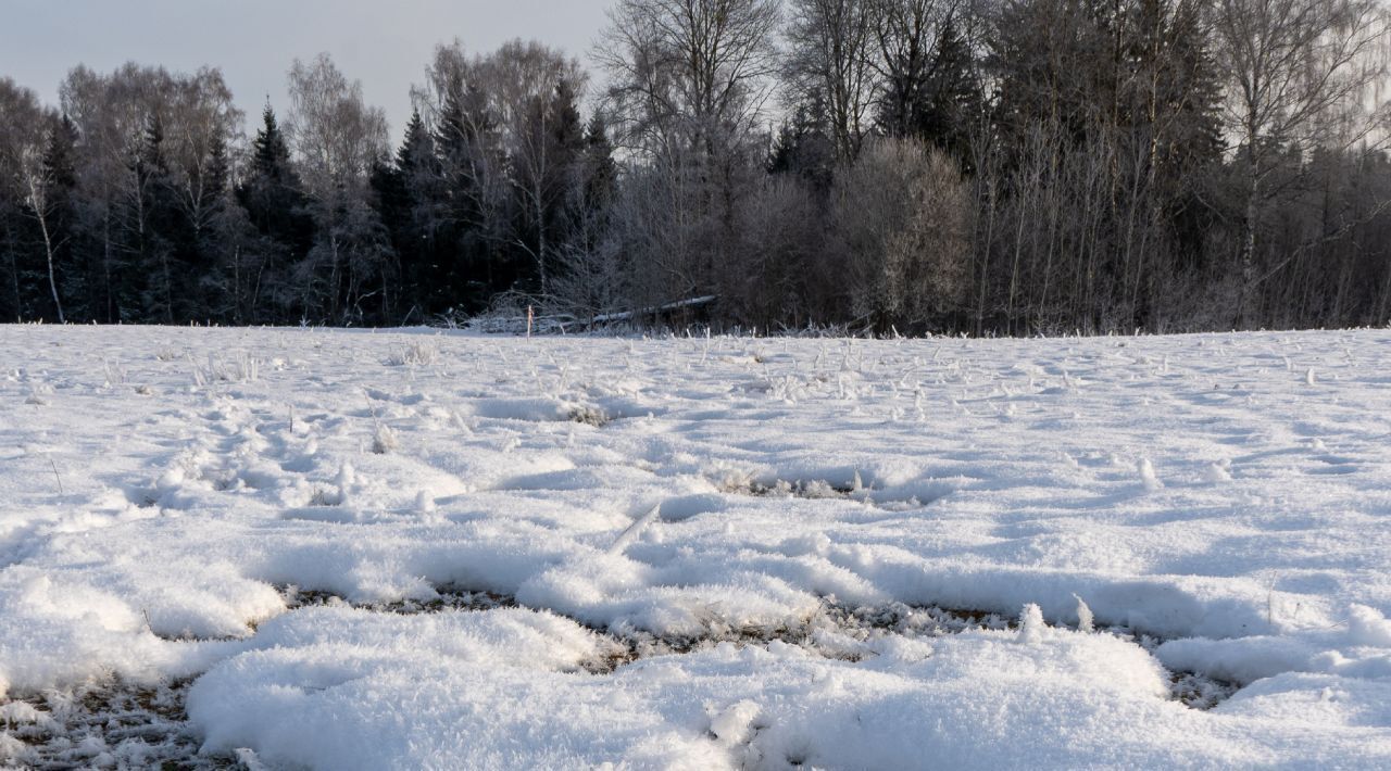 земля городской округ Волоколамский д Курьяново фото 20