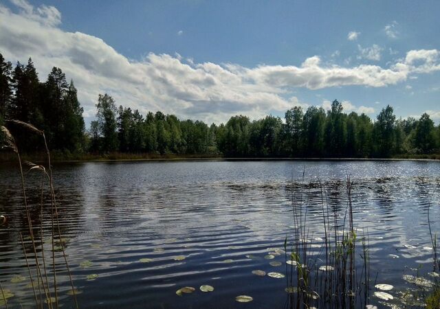 Трасса Сортавала, 97 км, Мельниковское сельское поселение фото