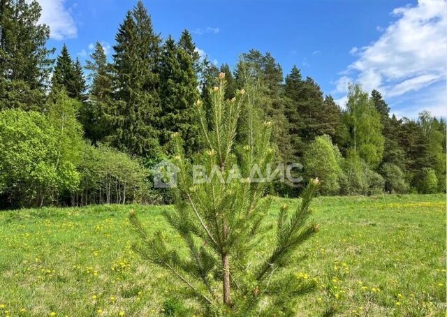 п Малое Луговое ул Анатолия Хлопецкого 28 Калининград фото