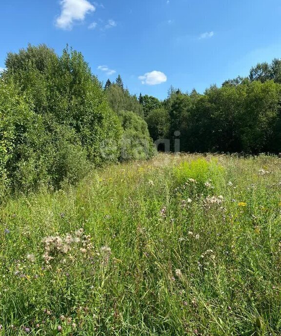 земля городской округ Истра д Зорино 23 фото 7