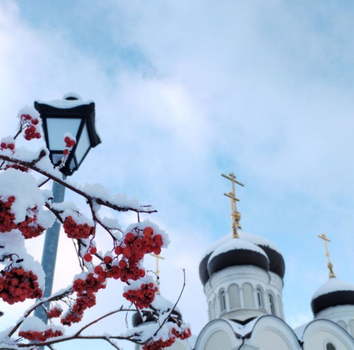 квартира г Москва метро Улица Дмитриевского ул Руднёвка 1 муниципальный округ Косино-Ухтомский фото 30