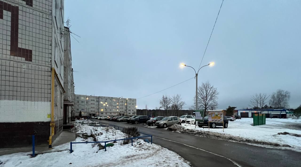 квартира городской округ Павловский Посад п Большие Дворы ул Спортивная 14 фото 4