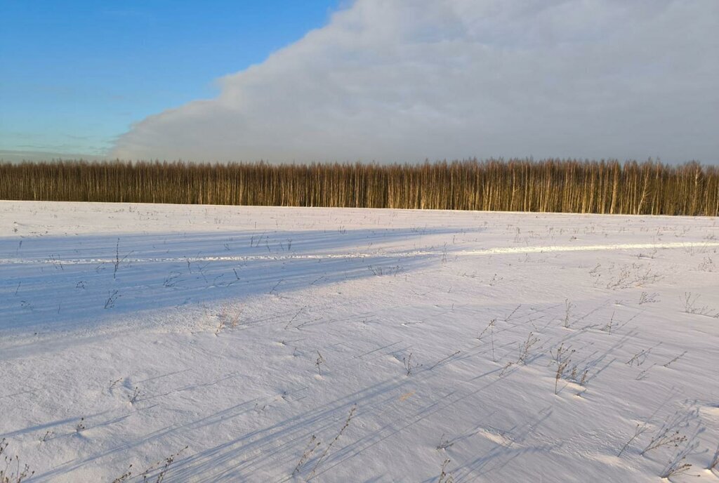 земля городской округ Раменский д Васильево фото 4