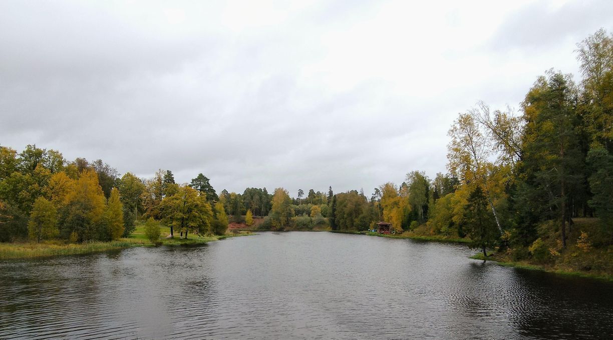 дом р-н Гатчинский Сиверский городской поселок, ул. Герцена, 41 фото 42