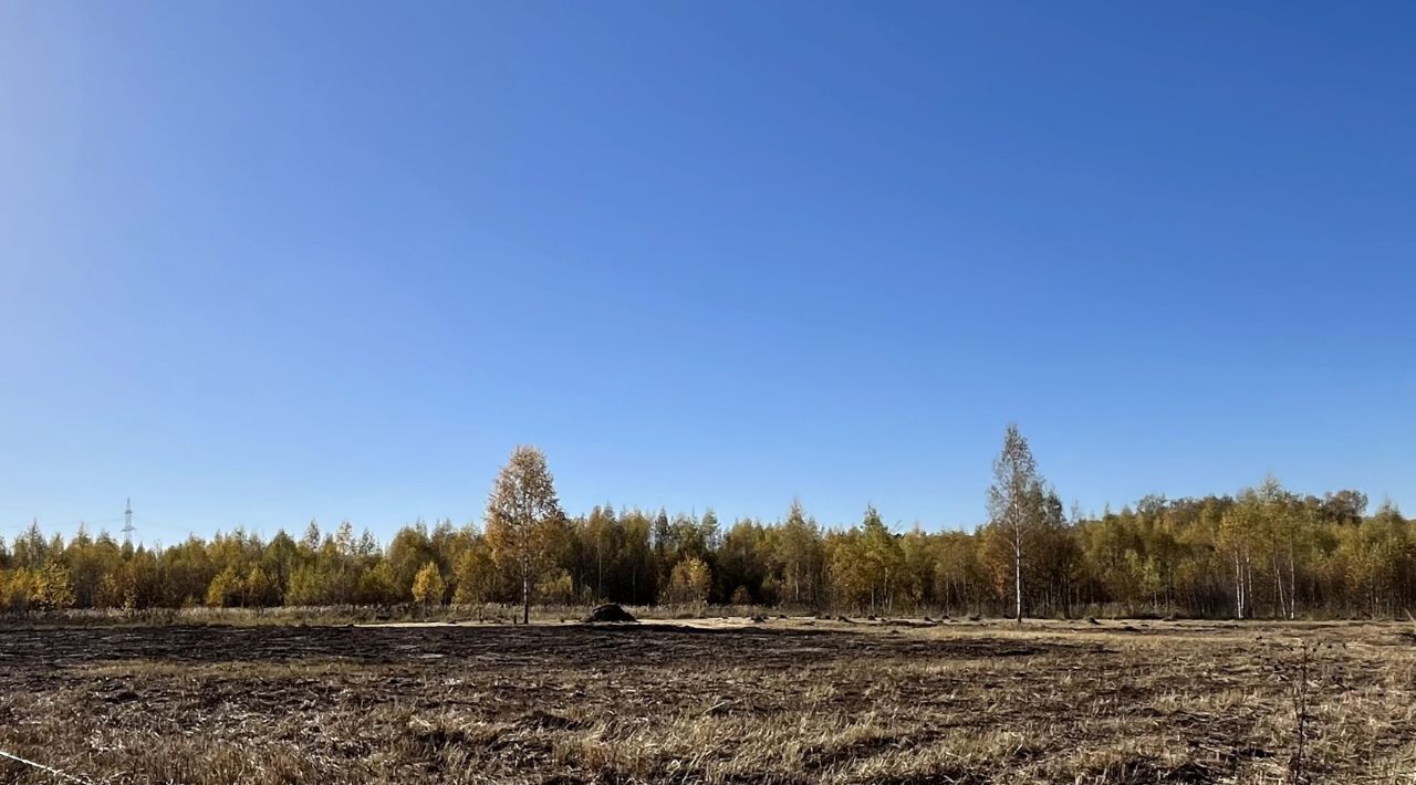 земля р-н Ясногорский с Большое Хорошово Иваньковское с/пос фото 3