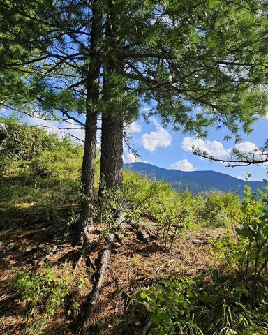 р-н Чемальский с Эдиган ул Каинзаринская 15 Онгудай фото