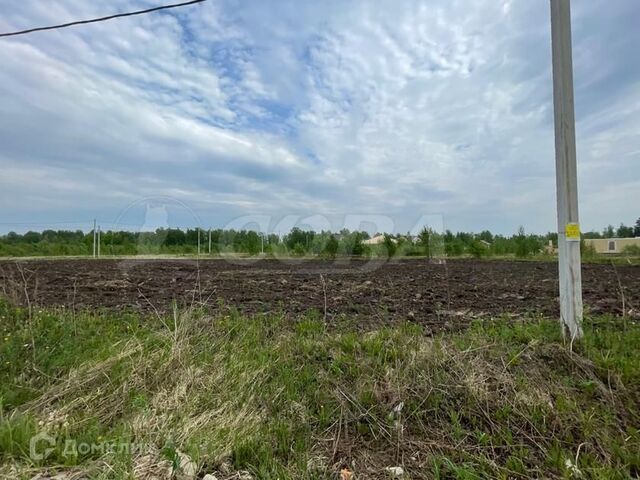 Тюмень городской округ, СО Поле чудес фото