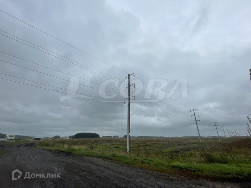 земля р-н Тюменский д. Большие Акияры фото 4