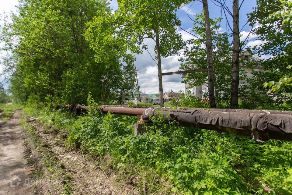 земля г Тобольск улица Центральная, 24, Тобольск городской округ фото 6