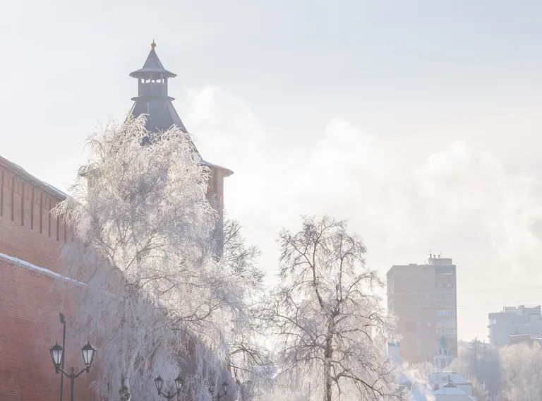 квартира г Нижний Новгород р-н Нижегородский Горьковская пл Минина и Пожарского 6 фото 10