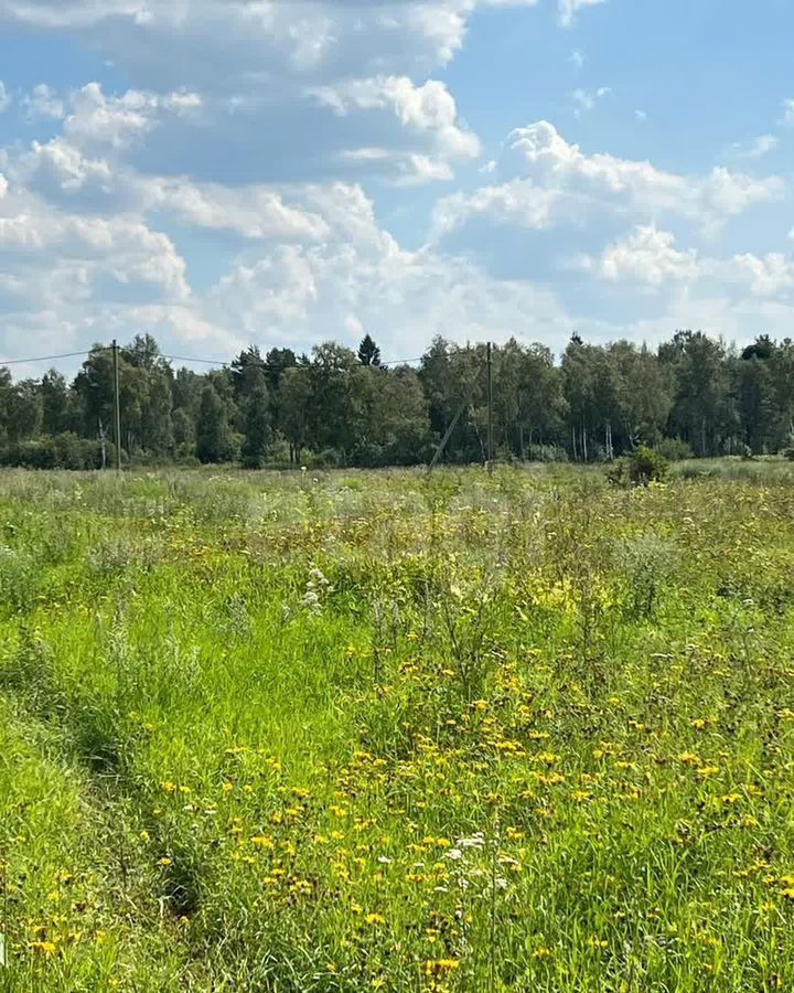 земля р-н Ломоносовский д Гостилицы Таллинское шоссе, 12 км, Оржицкое сельское поселение, ЗАО Спиринское, участок 52 фото 19