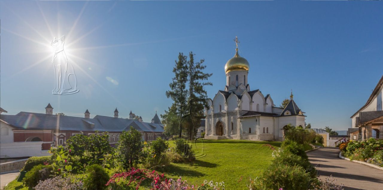 квартира городской округ Одинцовский г Звенигород мкр 3 9 фото 11