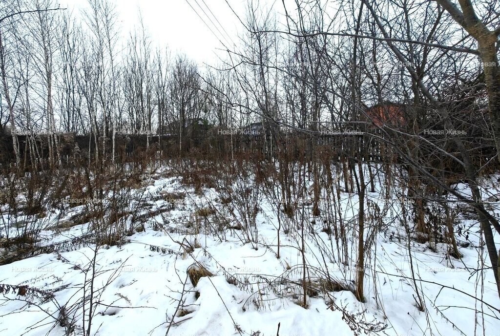 земля городской округ Ленинский с Остров Домодедовская фото 3