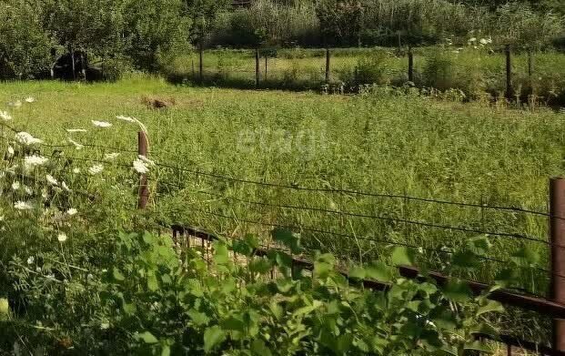 земля р-н Азовский х Колузаево ул Ленина Елизаветинское сельское поселение фото 4