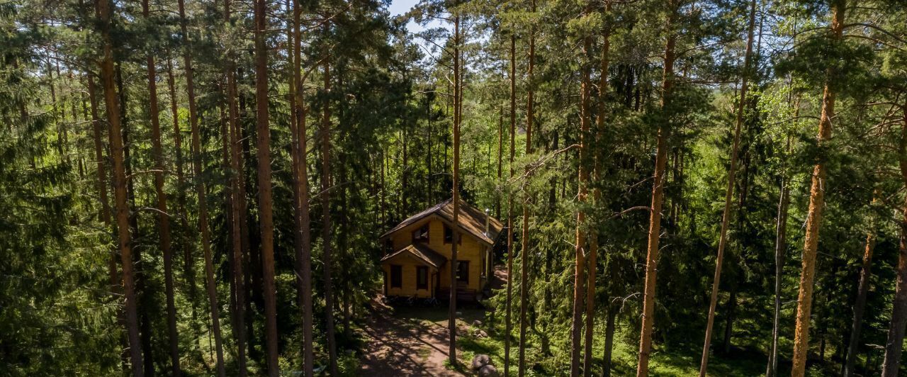 дом р-н Выборгский Приморское городское поселение, Гармония СНТ, 100 фото 15