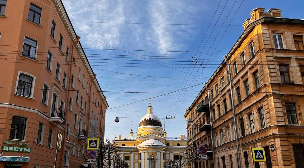 квартира г Санкт-Петербург метро Площадь Восстания Пески ул Дегтярная 20/25 округ Смольнинское фото 19