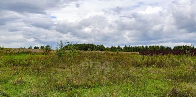 ул Луговая фото