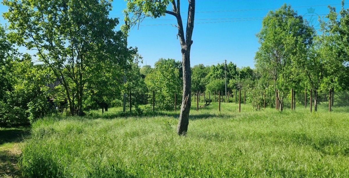 земля городской округ Раменский д Морозово 44 км, Бронницы, Рязанское шоссе фото 4