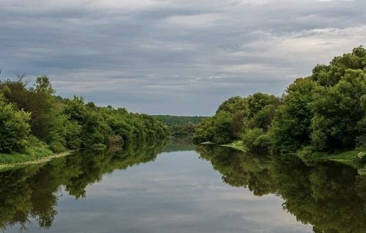 земля г Москва направление Павелецкое (юго-восток) ш Каширское муниципальный округ Орехово-Борисово Южное фото 13