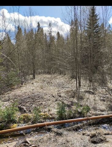 р-н Прионежский снт Заречье Деревянское сельское поселение, Петрозаводск фото