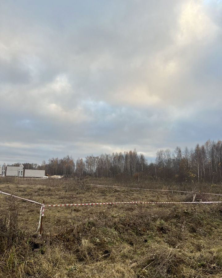 земля р-н Богородский д Пруды ул Заречная Буревестник фото 1