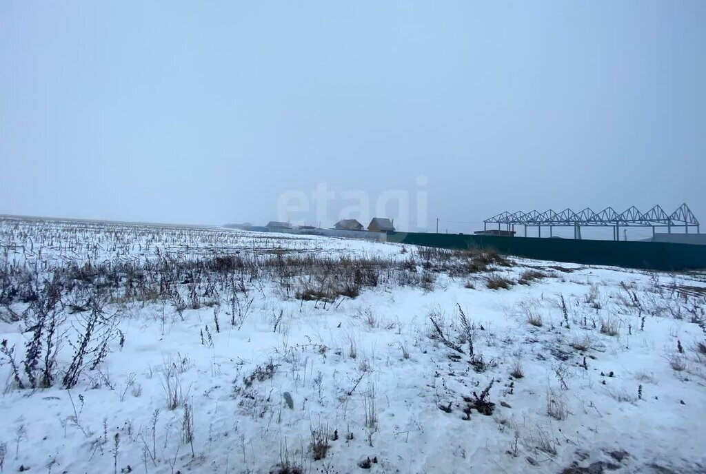 земля городской округ Воскресенск д Грецкая фото 4