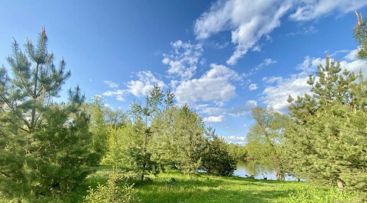 земля городской округ Воскресенск с Сабурово 53 фото 7