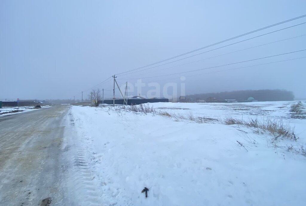 земля городской округ Воскресенск д Грецкая фото 5