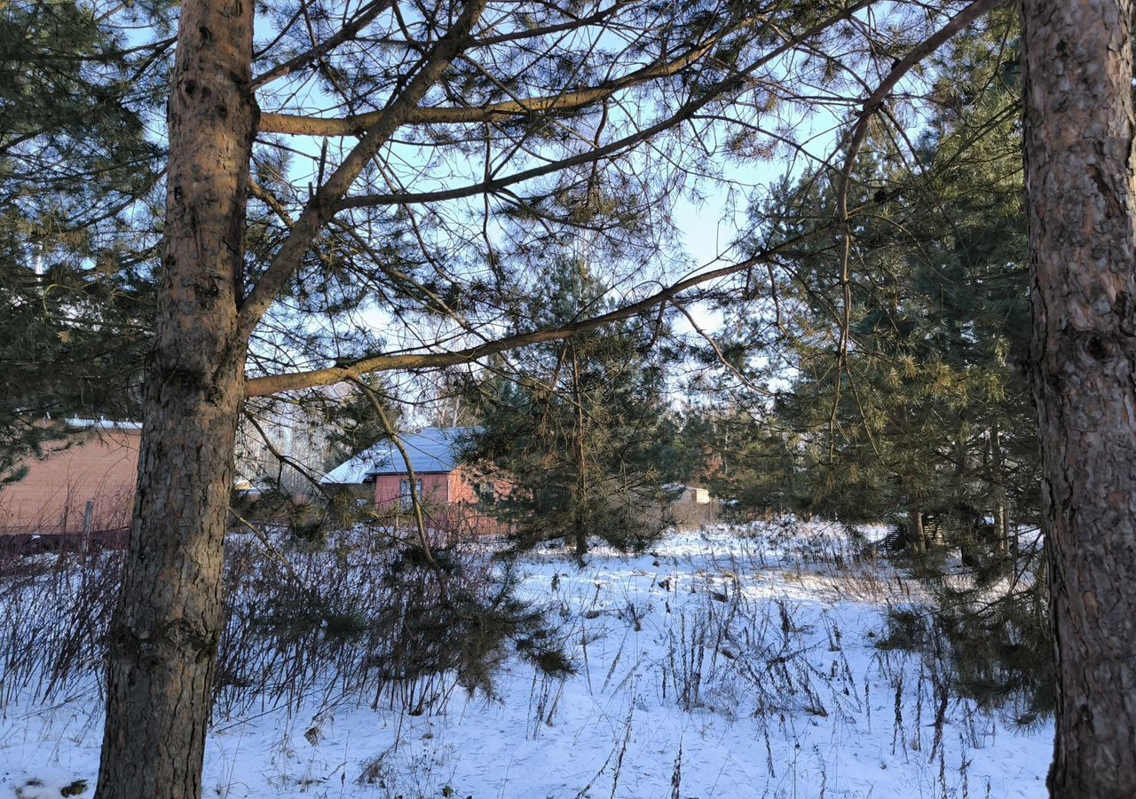 земля городской округ Раменский с Речицы 41 км, Егорьевское шоссе фото 1